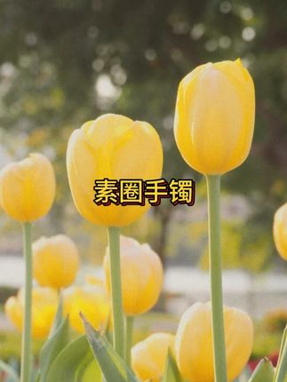 不舍的花大价钱买黄金的,这个铜合金的手镯,真的太好了! #好东西一起分享#手镯 #无限回购的宝藏单品 #在抖音入手的好东西 #七夕鲜花