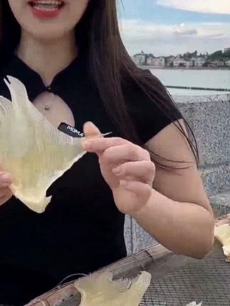 【海翅干】 海翅干煮汤鲜甜好喝,口感软脆,很好吃! #海翅干# 海产品 #海味干货 #【海翅干】# 海翅干煮汤鲜甜好喝口感软