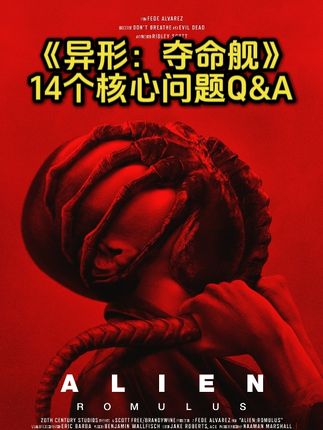 老片复盘半只猫