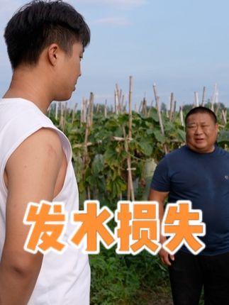 妞妞外甥在农村