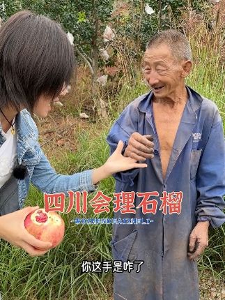 二胡张老师生鲜