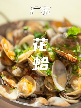 舌尖美食大全