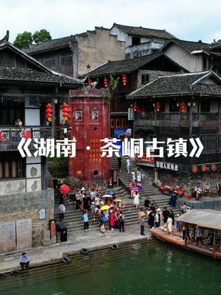 小杨哥旅行
