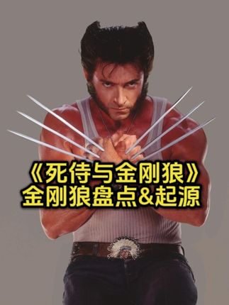 老片复盘半只猫