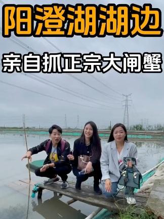 阳澄湖边,亲自抓正宗大闸蟹,吃蟹遥遥领先!#阳澄湖大闸蟹 #家乡土特产好物推荐 #遥遥领先 @全国农商互联大会