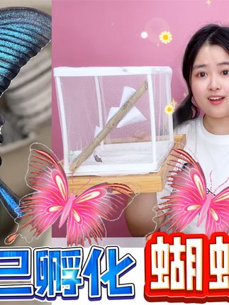 菠萝姐姐手工坊