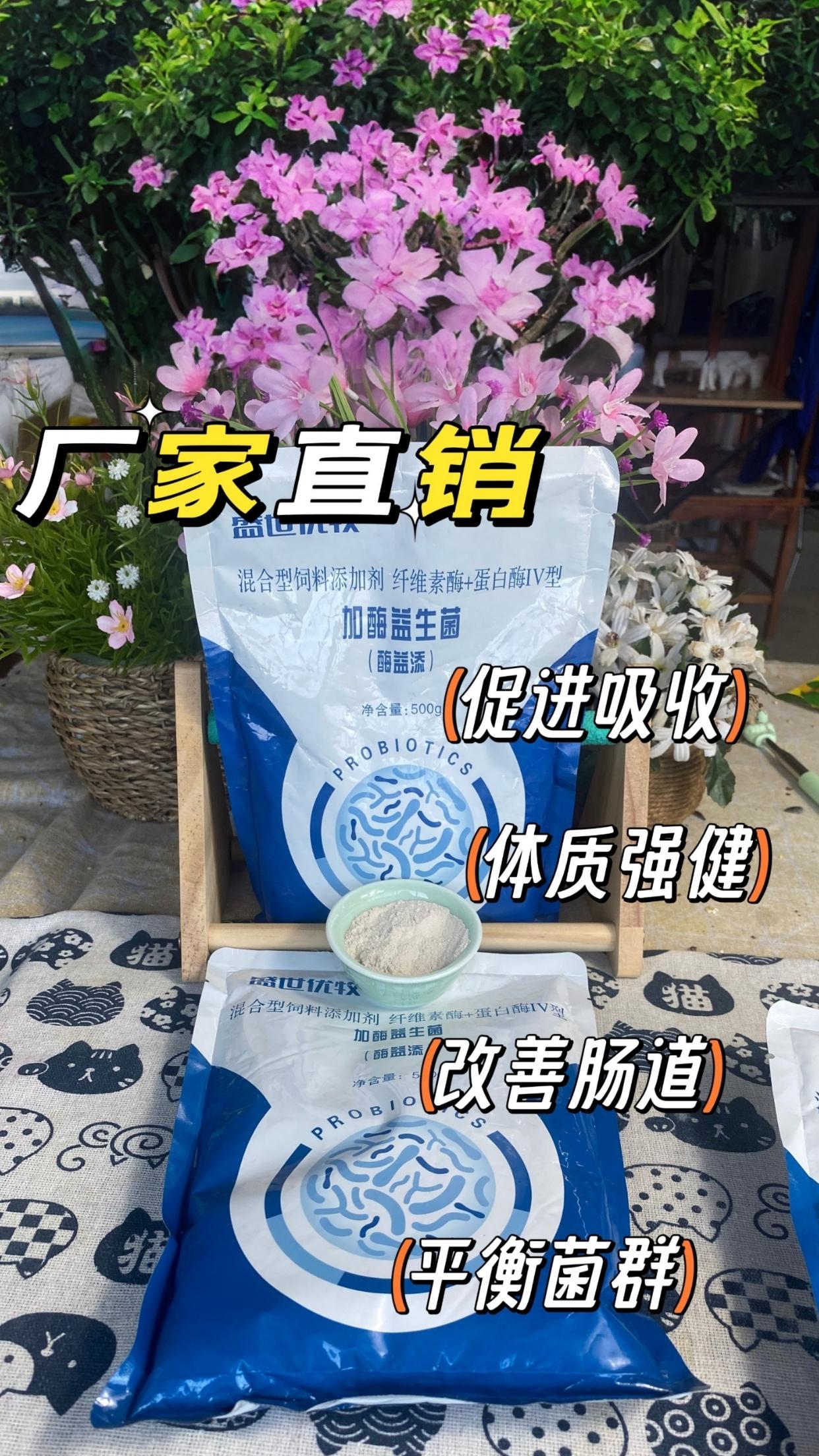 加酶益生素