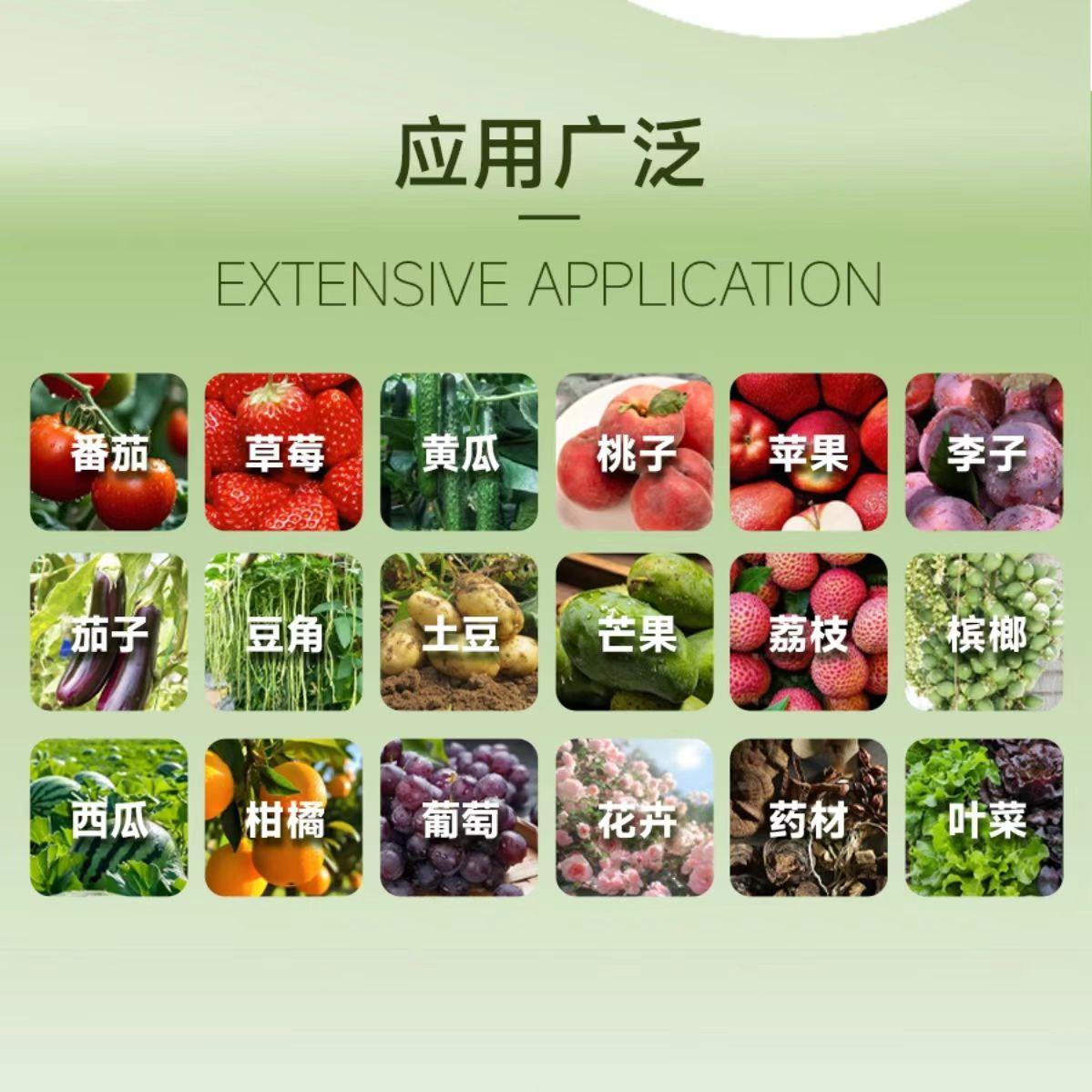 果树枯萎愁坏人,这款肥料让叶子绿油油! 植物营养不良怎么办?试试这款能补养、提品质的好物!