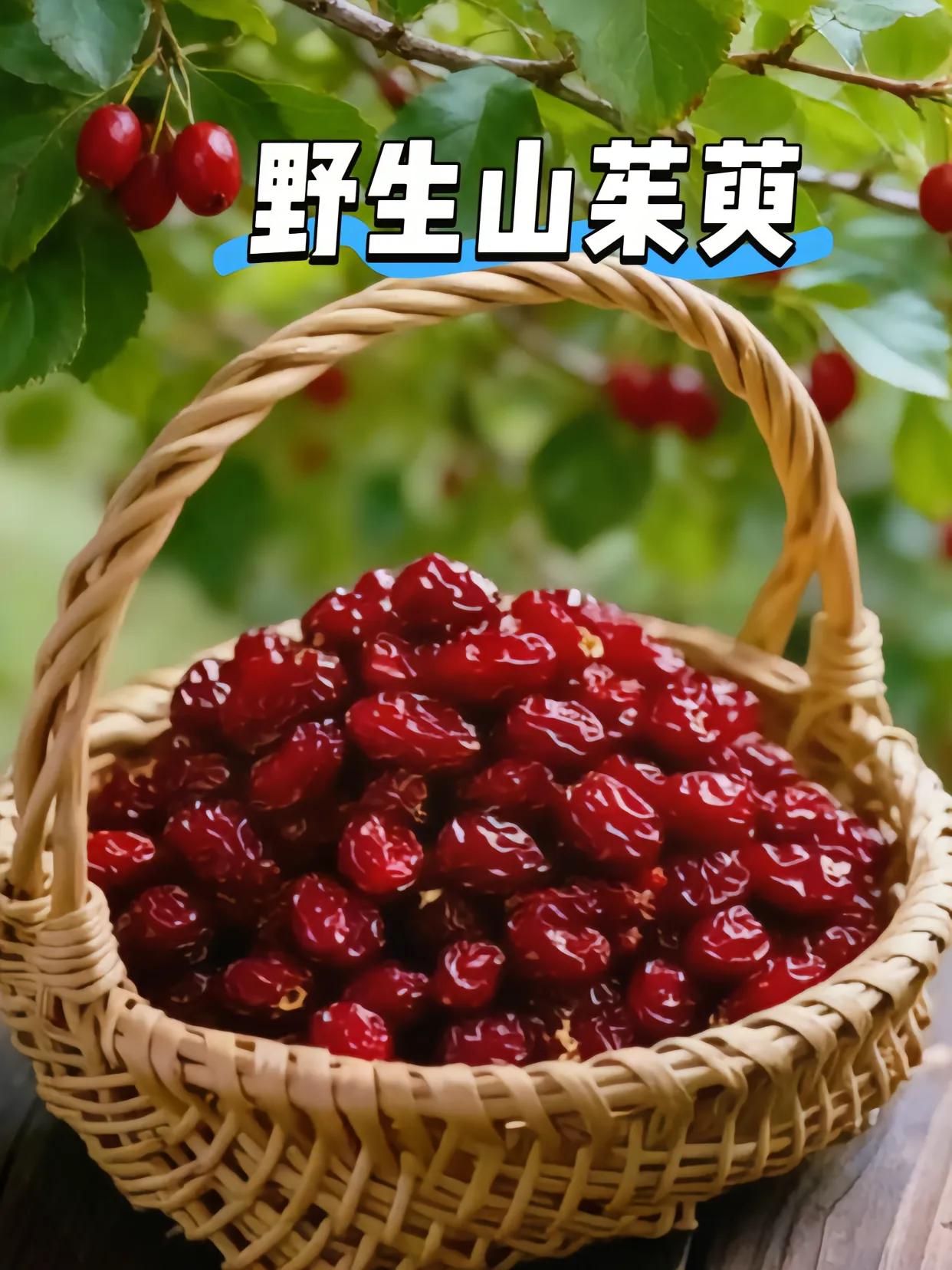 【抢250克】1大罐山茱萸山英肉正品山萸肉萸去核无籽山茱萸干