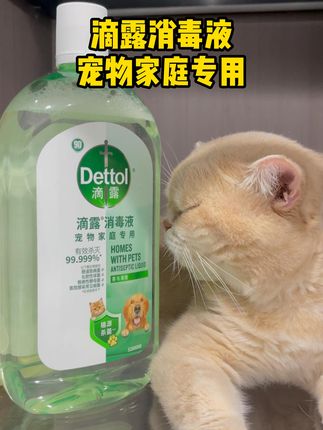 下班回来喷两下,还能闻到臭味的算你逆天! #滴露宠物专用消毒液 #宠物消毒 #萌宠好物 #科学养宠攻略 #新手养猫