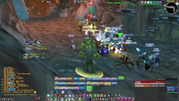 德鲁伊奶德之格鲁尔巢穴 妥妥的站位整不明白