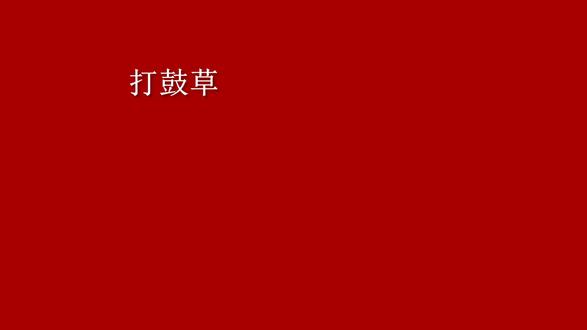 云南镇雄果珠非物质文化遗产打鼓草山歌