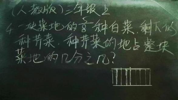 小学数学三年级课后习题:芹菜占地几分之几?