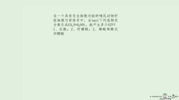 2021-10-22 三羧酸循环能量计算