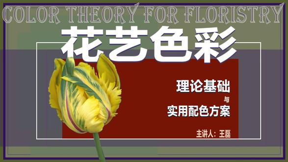 花艺色彩(6)-曼塞尔色彩体系、孟塞尔色彩体系中的重要概念详解