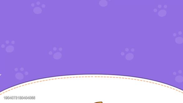 猫小帅手工66折纸-鲸鱼