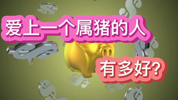 爱上一个,属猪的人有多好,如果你遇见了,请珍惜 #爱上 #属猪的人 #属猪人的智慧 #属猪女最佳婚配 #爱人