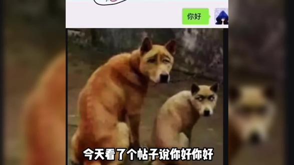 爆笑神评论:回去得挨揍了 #神评论神回复 #这是一个悲伤的故事 #爆笑 #搞笑聊天记录 #神评论