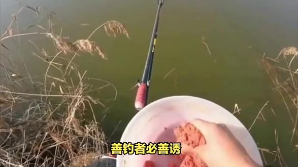 为何打窝以后没鱼进窝?多是方式不对头,教你正确打窝方式 #饵料窝料 #钓鱼技巧 #爱钓鱼