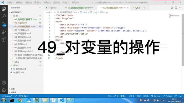 49_对变量的操作 #编程入门 #前端开发 #JavaScript