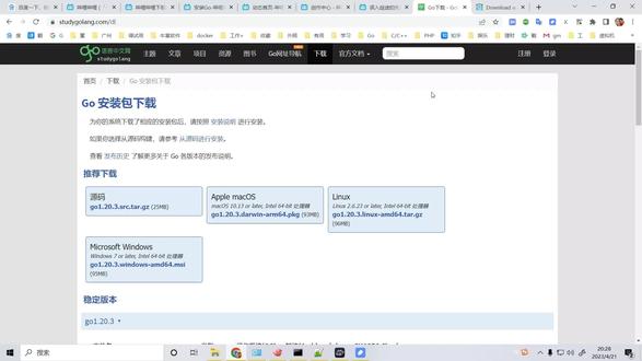 Go在linux环境中安装 #go语言 #go #golang #编程 #linux