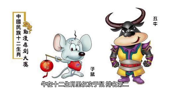 属牛是属黄牛还是水牛?这跟养牛和生肖的历史有关,看你猜的对不对 #属相 #十二地支 #黄牛 #水牛 #商朝