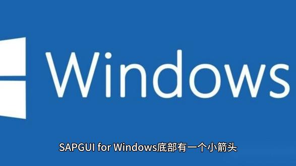 12.7 状态域的系统信息图标 #ERP #SAP