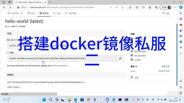 gitea怎样用作docker镜像私服2 #程序员 #运维 #docker #抖音小助手dou上热门