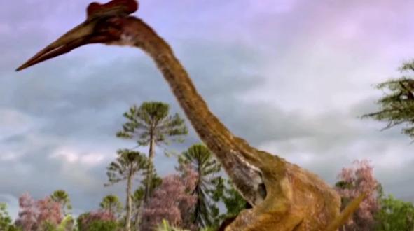 动物解说:霸王龙在陆地上称霸,它的克星却是天空霸主