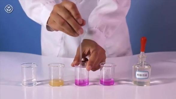 人教版初中化学九年级下册,P50实验10-1向溶液中加入酸碱指示剂#每天跟我涨知识 #化学实验 #教育
