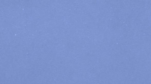 A股大崛起,向牛而升!