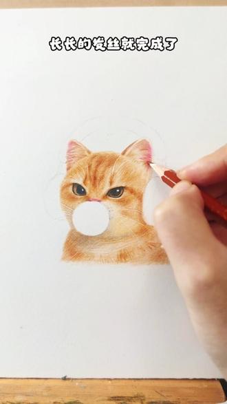 你学会了美式小猫,真棒~~ #画画 #画画教程 #彩铅 #彩铅画 #彩铅手绘