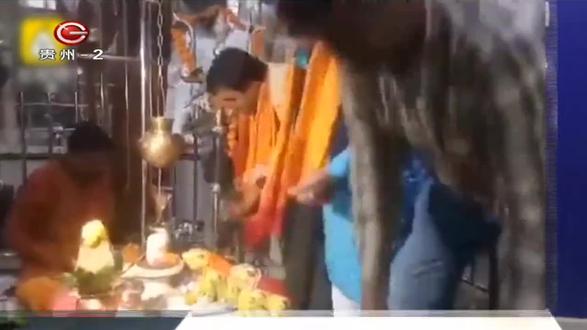 结婚两个月 青蛙夫妇被迫离婚