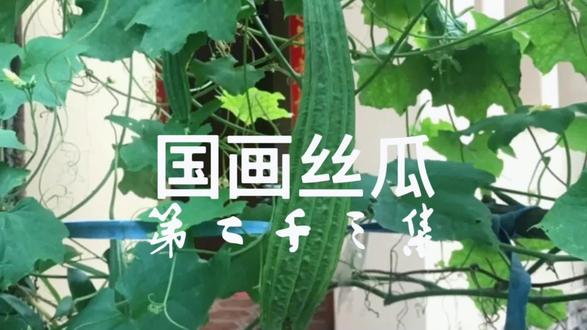 国画二十三集:怎么画丝瓜 想起篱笆墙上父爱