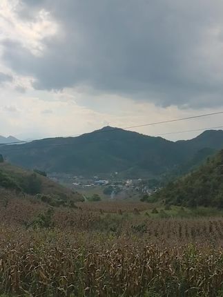 #错过花开错过叶落慢动作分解 #花好月圆夜手势舞 #国庆快乐舞蹈 #广场舞意乱情迷完整版