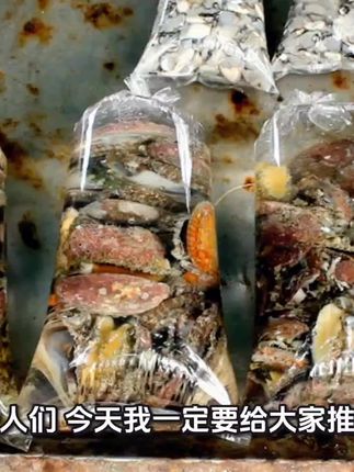 【大连小鲍鱼干300头宝宝煲汤鲜美煲粥干净:/ 营养海产品非冷冻干鲍鱼】
