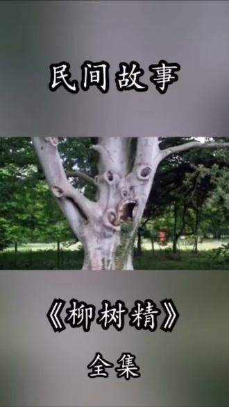 民间故事(柳树精)#故事 #民间故事