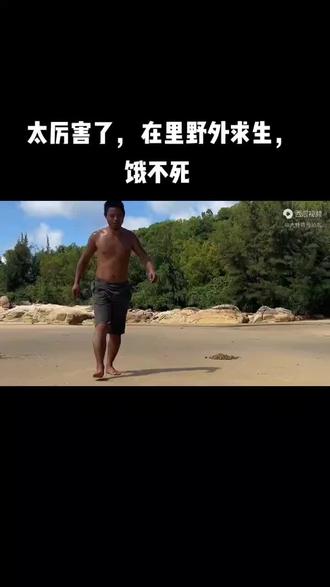 野外 求生 这么厉害的人 肯定是饿不死了