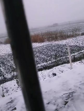 #千兆生活湘当秀 @湖南联通 #带你看雪 #农村雪景 #乡村雪景 #老家的雪 