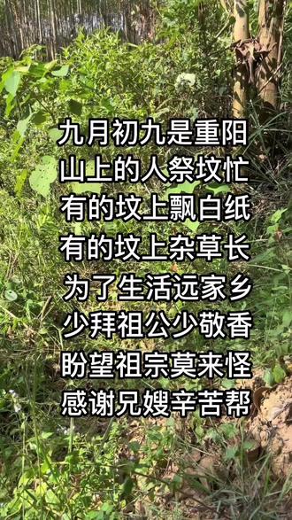 三月三、九月九,老家传统的扫墓时间,打工在外,难能次次都回来了,只能盼望祖宗莫责怪,感谢大哥大嫂们辛苦了。#年年逢重阳岁岁皆平安 #祭拜祖先 #传统习俗 #重阳节