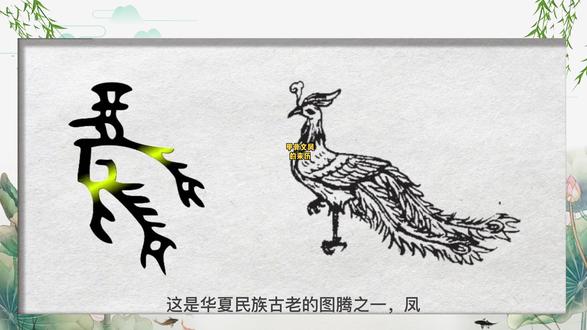 通过甲骨文看历史,今天是凤字#甲骨文 @DOU+小助手