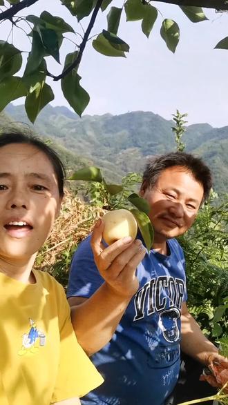 中秋佳节,给家里长辈送月饼,还可以送点水分充足的高山梨子去
新农人计划2022.奋斗的农村人
