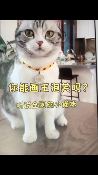 乖巧美貌的王泡芙来啦 @王泡芙 #画画