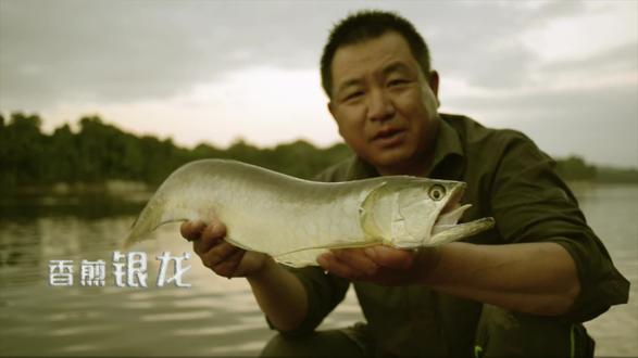 野行先生亚马逊香煎银龙鱼#钓鱼有妙招 #轻知识计划