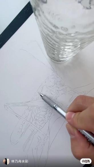 “蚂蚱”蝗虫彩铅 逼真画之(二)~ ✌