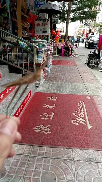 小时候常见的昆虫不和什么原因太很少见了,比如说崝蜓,蝴蝶,蚱蜢。居然在海南的冬天遇到它了,东北哈尔滨叫扁担勾,