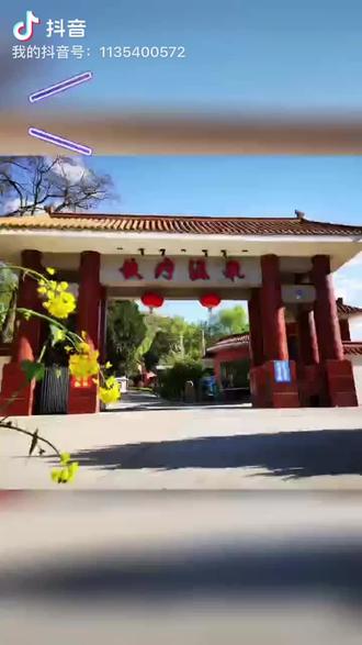武山铁疗温泉欢迎你!!
