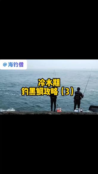 教你如何在冷水期钓黑鲷
#黑鲷 #矶钓 #钓鱼人 #海钓 #登礁
