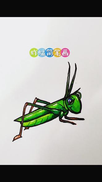 #我的生活新姿势 #简笔画教程 #蚱蜢简笔画 简笔画打卡蚱蜢绘画。一起从绘画中寻找乐趣。