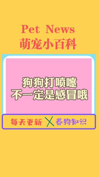 狗狗打喷嚏的原因#萌宠 #狗狗 @抖音小助手
